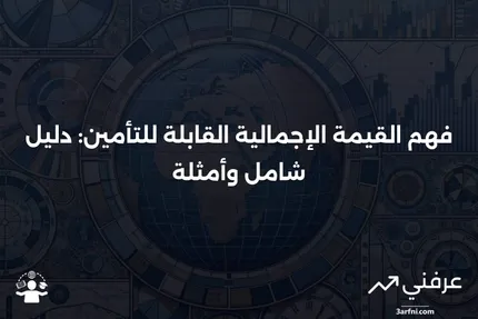 القيمة الإجمالية القابلة للتأمين: المعنى، النظرة العامة، الأمثلة