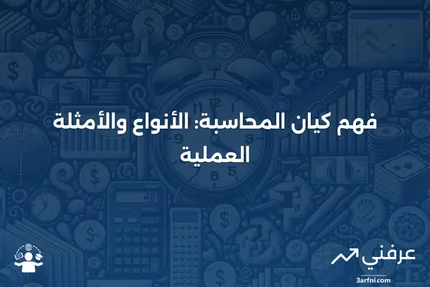 كيان المحاسبة: التعريف، الأنواع، والأمثلة