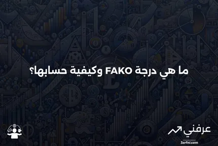 ما هو الفرق بين FAKO Score وFICO Score في تقييم الائتمان؟