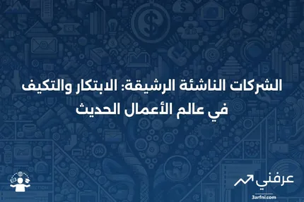 الشركة الناشئة الرشيقة: تعريفها وكيف تختلف عن الأعمال التقليدية