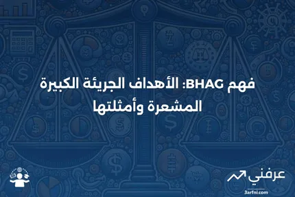 ما هو الهدف الجريء الكبير المشعر (BHAG)؟ الفئات والأمثلة