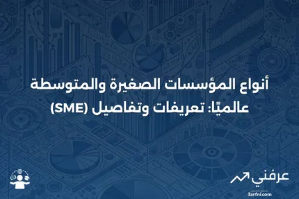 المؤسسات الصغيرة والمتوسطة (SME): التعريف والأنواع حول العالم