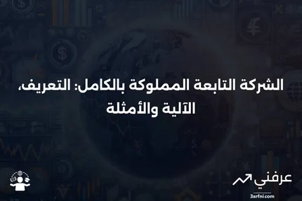 ما هي الشركة التابعة المملوكة بالكامل؟ كيف تعمل وأمثلة عليها