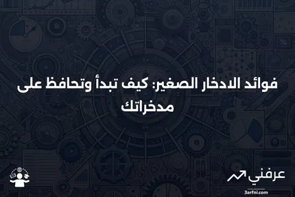 المدخرات الصغيرة: المعنى، الفوائد، الأمثلة