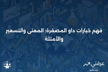 خيارات داو المصغرة: المعنى، التسعير، المثال