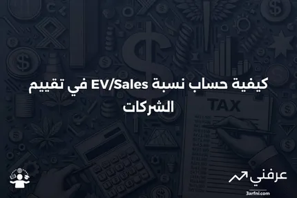 ما هو نسبة قيمة المؤسسة إلى المبيعات (EV/Sales)؟ وكيفية حسابها