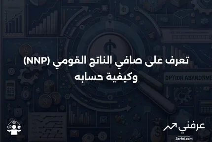 صافي الناتج القومي (NNP): التعريف والحساب