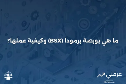 بورصة برمودا (BSX): ما هي وكيف تعمل