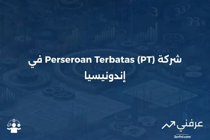 شركة محدودة (PT): نظرة عامة وأنواع