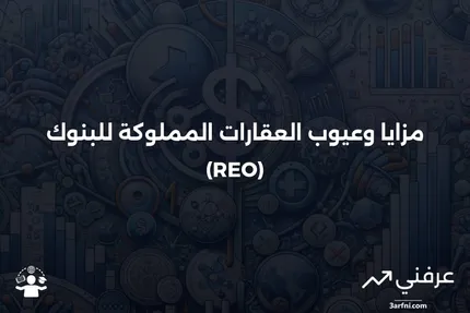 تعريف العقارات المملوكة (REO)، المزايا والعيوب