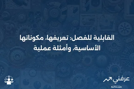 القابلية للفصل: التعريف، الجزئين الرئيسيين للبنود، وأمثلة