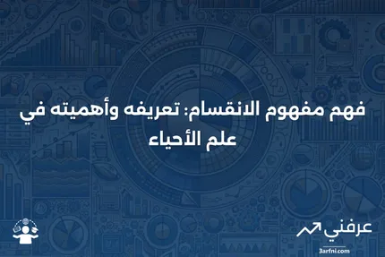 فوائد وأمثلة الانقسام في الشركات: استراتيجية النمو وإعادة الهيكلة