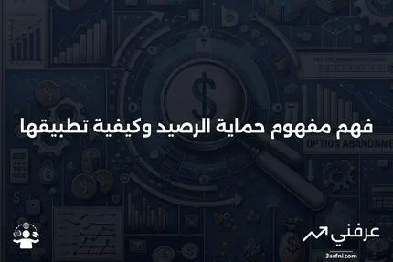 حماية الرصيد: ماذا تعني، كيف تعمل، مثال