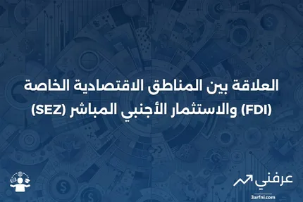 معنى المنطقة الاقتصادية الخاصة (SEZ) وعلاقتها بالاستثمار الأجنبي المباشر (FDI)