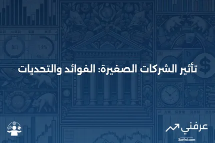 تأثير الشركات الصغيرة: ما هو وكيف يعمل