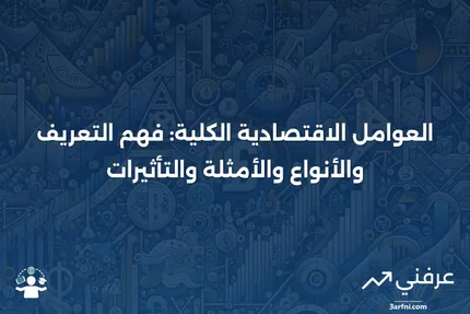 العوامل الاقتصادية الكلية: التعريف، الأنواع، الأمثلة، والتأثيرات