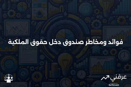 صندوق دخل حقوق الملكية: المعنى، الفوائد، المخاطر