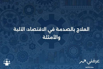 العلاج بالصدمة: كيف يعمل في الاقتصاد، أمثلة