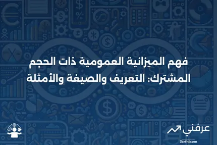 الميزانية العمومية ذات الحجم المشترك: التعريف، الصيغة، المثال