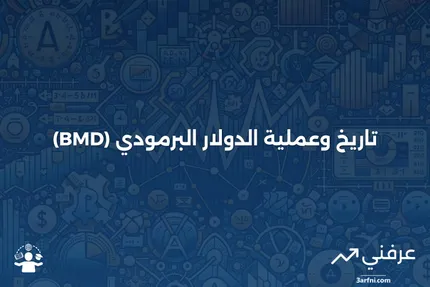 دولار برمودي (BMD): ما هو، كيف يعمل، تاريخه