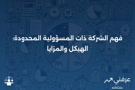 ما هي الشركة ذات المسؤولية المحدودة؟ تعريف هيكل وفوائد الشركة ذات المسؤولية المحدودة