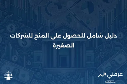 المنح للشركات الصغيرة: كل ما تحتاج إلى معرفته