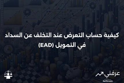 ما هو التعرض عند التخلف عن السداد (EAD)؟ المعنى وكيفية الحساب