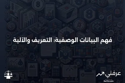 البيانات الوصفية: ما هي وكيف تعمل