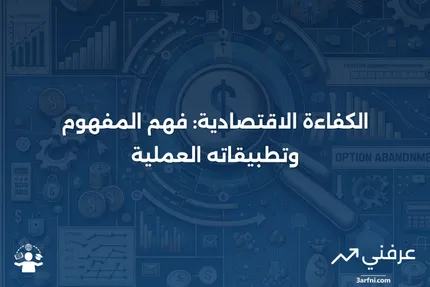 الكفاءة الاقتصادية: التعريف والأمثلة