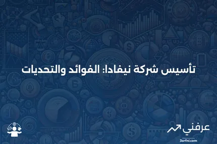 شركة نيفادا: المعنى، لماذا يتم تشكيلها، الإيجابيات والسلبيات