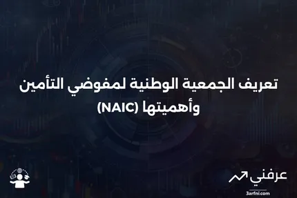 الجمعية الوطنية لمفوضي التأمين (NAIC) تعريف