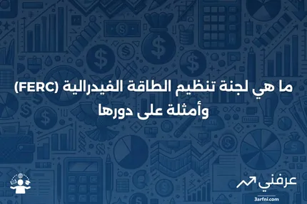 لجنة تنظيم الطاقة الفيدرالية (FERC): ما هي، أمثلة