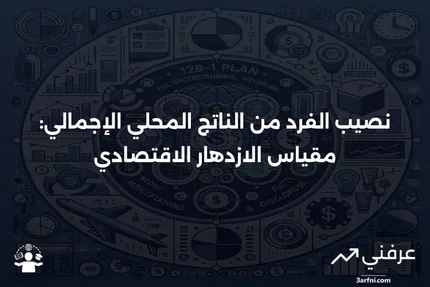 نصيب الفرد من الناتج المحلي الإجمالي: التعريف، الاستخدامات، وأعلى الدول