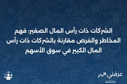 الشركات ذات رأس المال الصغير: التعريف في استثمار الأسهم، المخاطر مقابل الشركات ذات رأس المال الأكبر