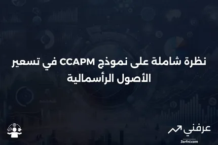 نموذج تسعير الأصول الرأسمالية الاستهلاكية (CCAPM): نظرة عامة