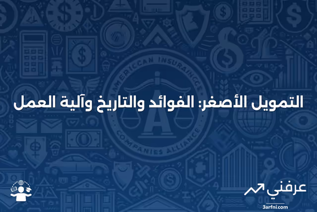 تعريف التمويل الأصغر: الفوائد، التاريخ، وكيفية عمله