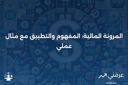 ما هي المرونة في التمويل؛ كيف تعمل (مع مثال)؟