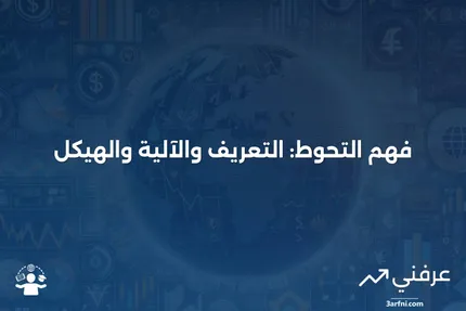 فقرة التحوط: ما هي، وكيف تعمل، وهيكلها