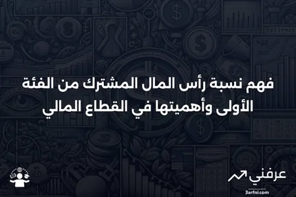 نسبة رأس المال المشترك من الفئة الأولى: المعنى، نظرة عامة، مثال