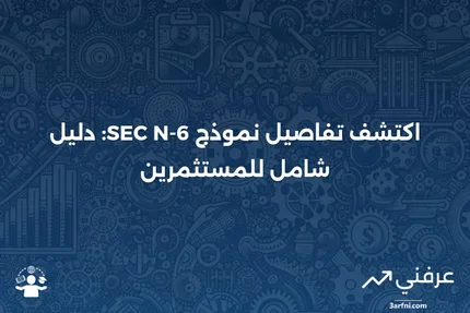 فهم نموذج SEC N-6: دليل شامل للمستثمرين في عقود التأمين على الحياة المتغيرة